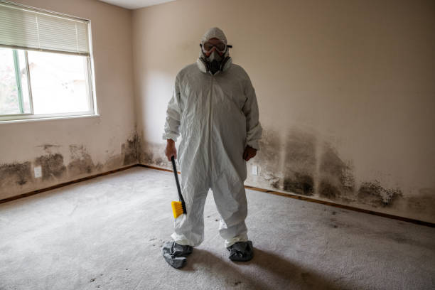 Mold Remediation for Rental Properties in Rose Hills, CA