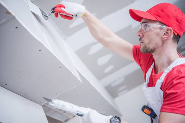 Best Mold Documentation for Insurance Claims  in Rose Hills, CA